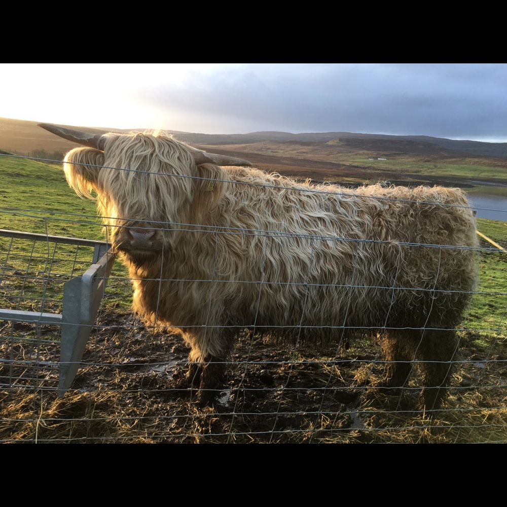 Meet your Posher, Graham